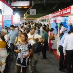 TTF (08)